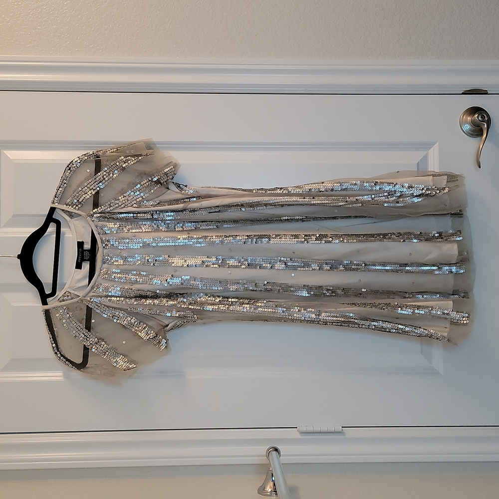 Arden B silver sequin medium dress